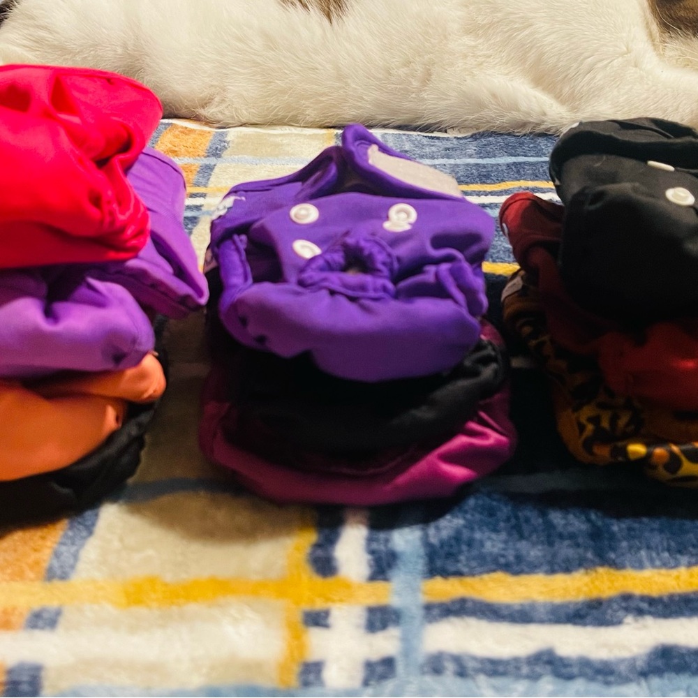 Puppy Training Housebreaking Diapers- Purple, Black, Red, Orange